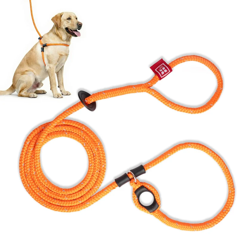 Harness Lead – Harnais anti-tirage et laisse sans évasion pour chiens (M/L, Orange et réfléchissant)