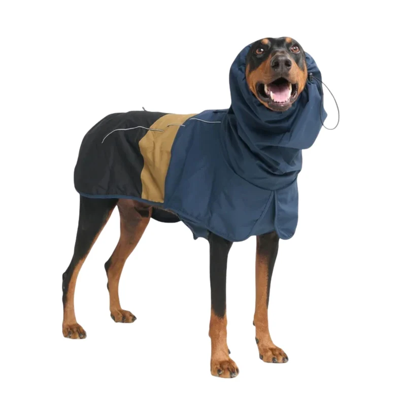 Spark Paws Manteau de Pluie pour Chien – Imperméable et Coupe-vent, Tailles 2XL à 4XL (3XL inclus) – Bleu/Or/Noir