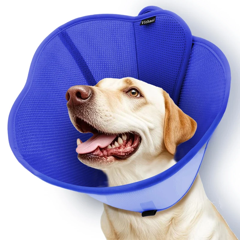 Vithael Cône de récupération pour chien – Double couche, taille M, bleu