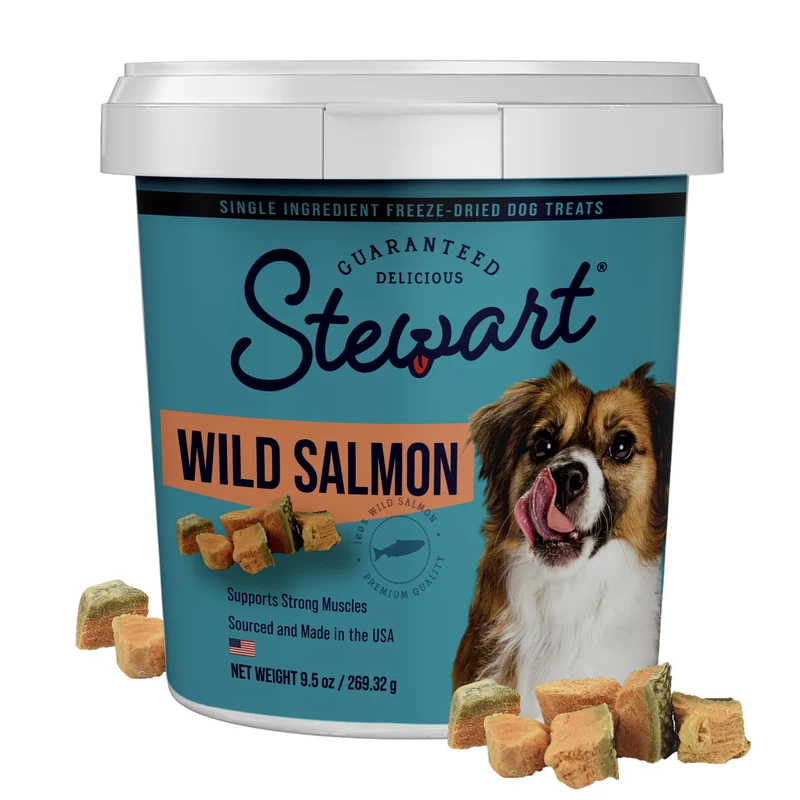 Stewart Saumon Sauvage – Friandises Chiens 100% Ingrédient Unique, Sans Céréales (Tub 9,5 oz)