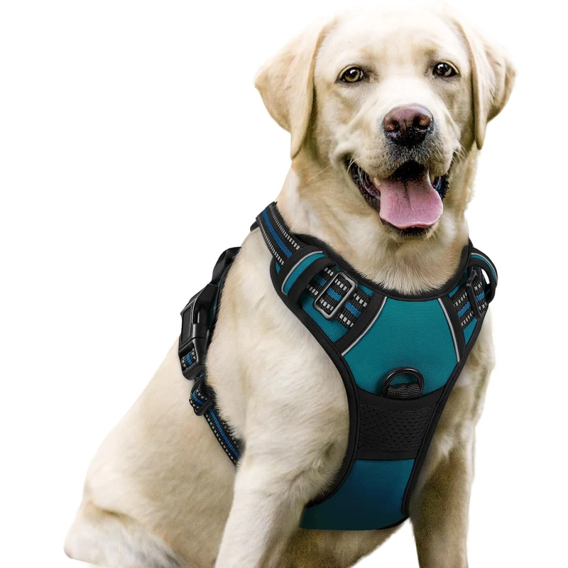 Rabbitgoo Harnais Chien Sans Tirage – Deux Attaches, Rembourrage Doux, Oxford Reflectif, Poignée de Controle – Grand Chien – Bleu Corail – Taille L