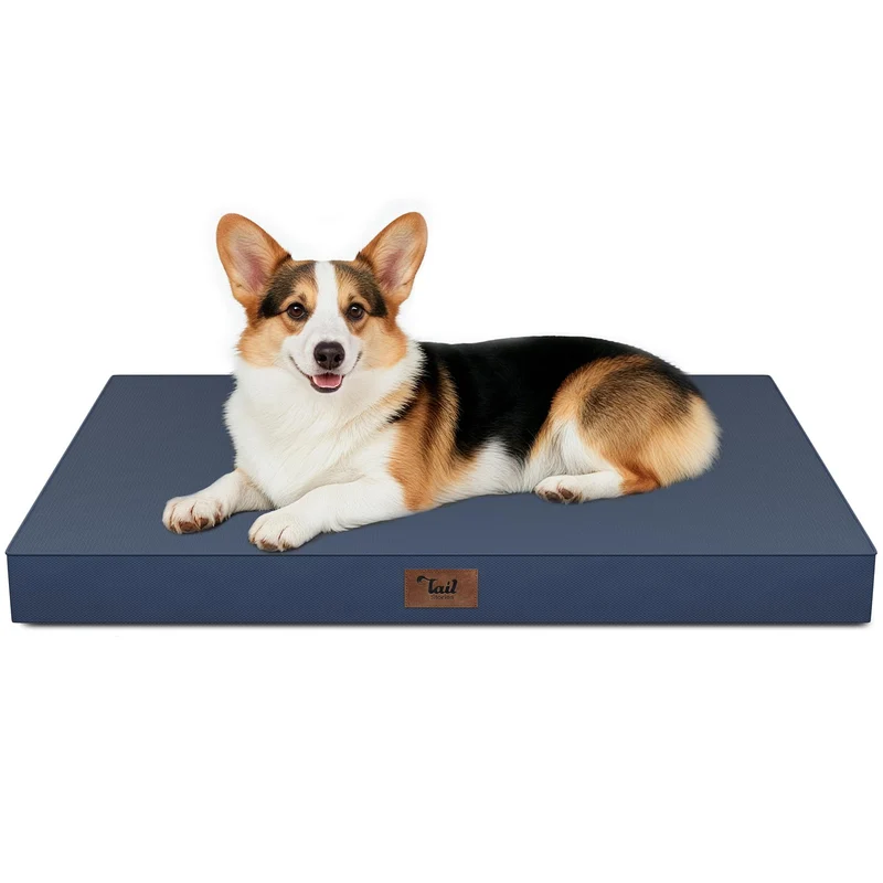 Tail Stories Grand Lit Exterieur pour Chien – Impermeable, Orthopedique, 36x27, Marine