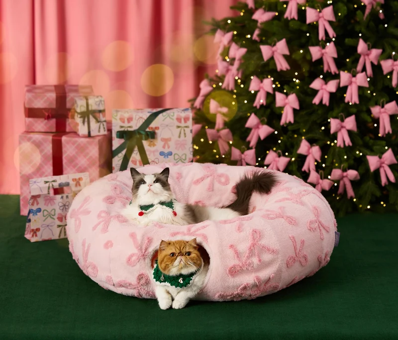 Lit Tunnel Chat Lesure 2-en-1 – Tunnel et Coussin Lavable, Rose Taffy