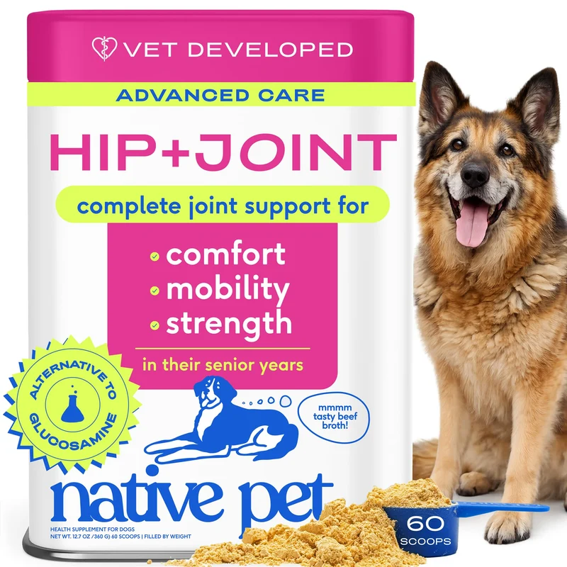 Native Pet Poudre Avancée – Santé de la hanche et articulation pour chien