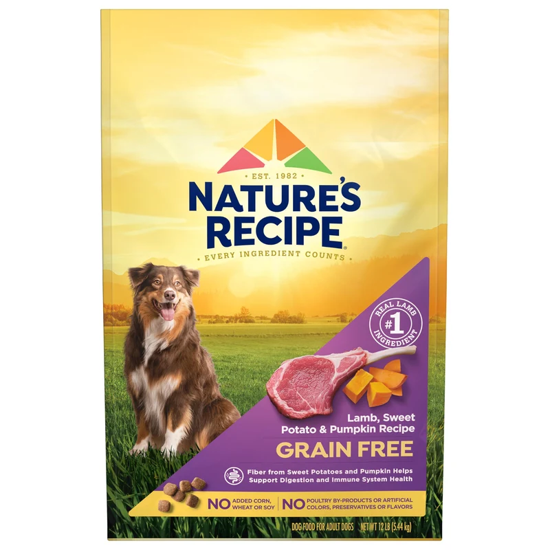 Nature's Recipe Croquettes Sans Céréales pour Chien — Agneau, Patate Douce et Citrouille, Sac de 5,4 kg