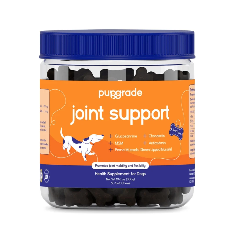 PupGrade Soutien des articulations pour chiens – Glucosamine, Chondroïtine, Perna, Saveur Boeuf, 60 Gommes Douces