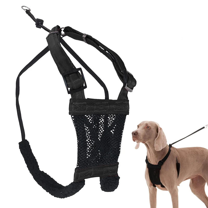 Sporn Harnais Chien Anti-Tirage Grand/XL – Nylon Résistant, Sans Étranglement, Facile à Mettre