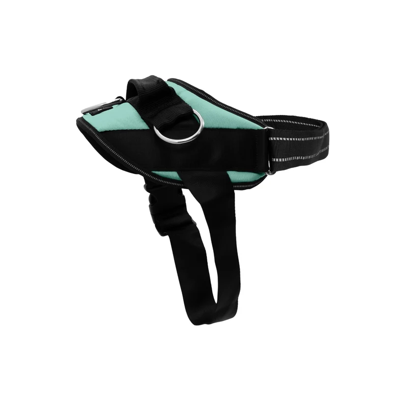 ShawnCo Essential Harnais Chien – Anti-Tirage, 3 Anneaux, Réglable, Seafoam XS