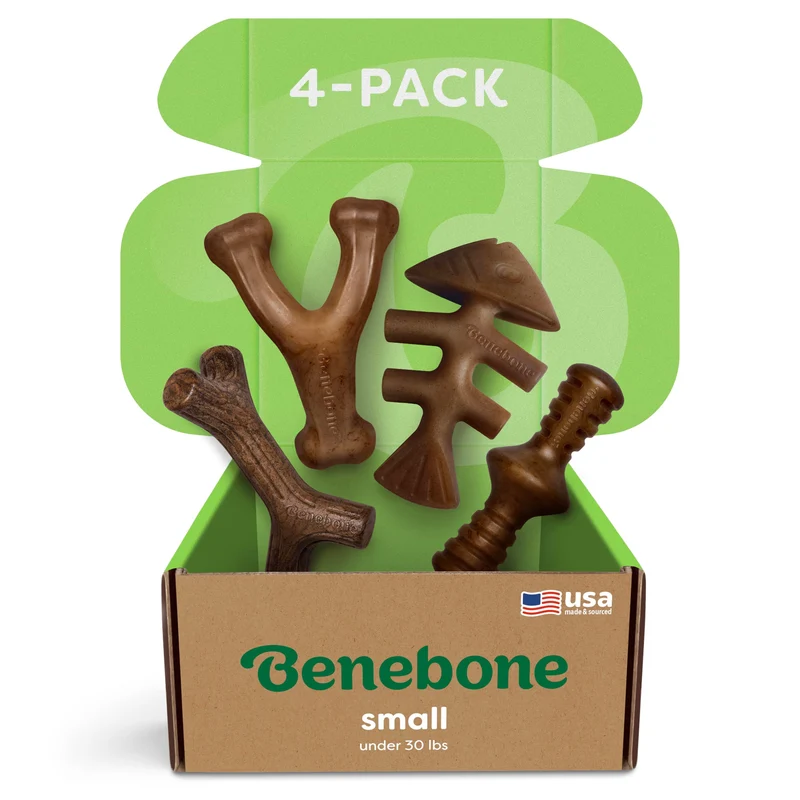 Benebone Petit Lot – Quatre Jouets Os Durables pour Chiens Aggressifs – Fabriqué aux États‑Unis – Pour Chiens Petits ≤ 30 lb