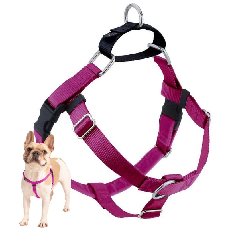 2 Hounds Design Freedom Harnais Anti-Tirage – Réglable, Confort et Contrôle – Fabriqué aux États-Unis – Framboise