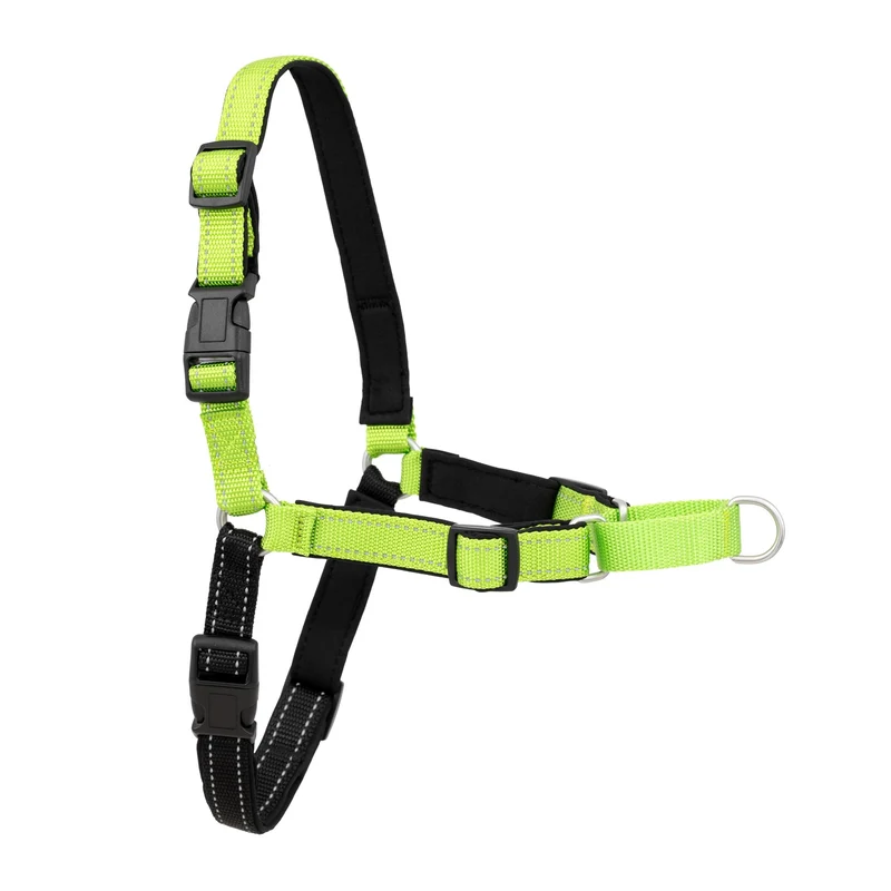 PetSafe Deluxe Easy Walk Harnais pour Chien – Attache Devant et Martingale – Petit – Apple