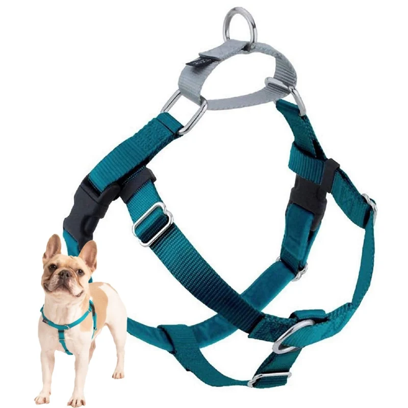 2 Hounds Design Freedom Harnais anti-tirage – Réglable, Confort et Contrôle – Tailles S/M/L – Teal – Fabriqué aux États‑Unis