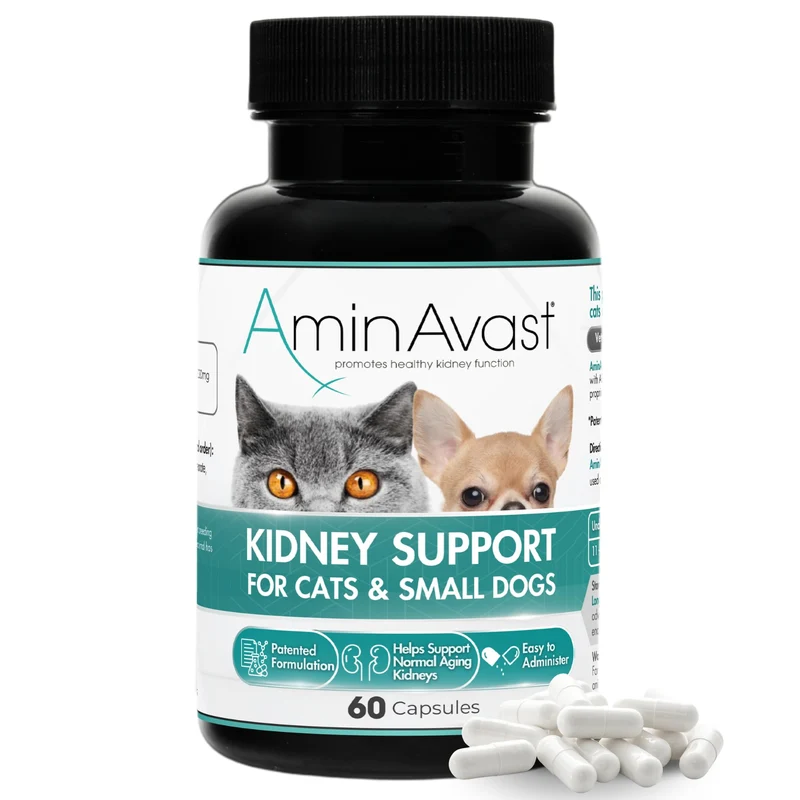 AminAvast – Soutien rénal pour petits chiens et chats, 300 mg, 60 capsules