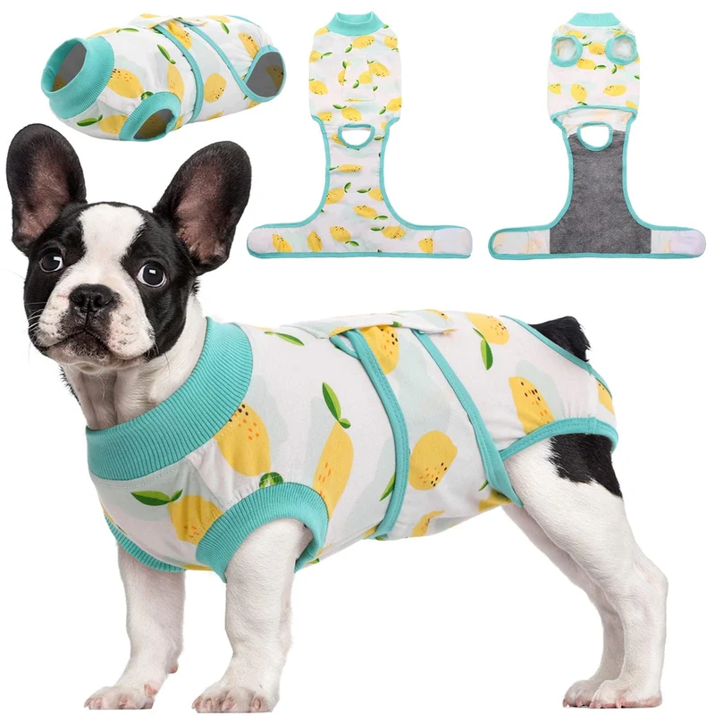 Kuoser Combinaison de Récupération pour Chiens et Chats – Après Chirurgie, Alternative au Cône