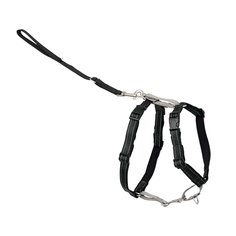 PetSafe Harnais 3-en-1 pour chien – Confort et sécurité avec attache frontale – Petit, Noir