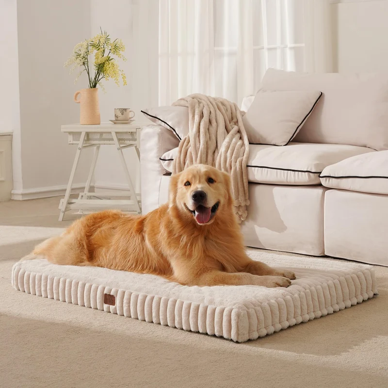 DOPEDIO Nid orthopédique pour grand chien — Étanche, base antidérapante, mousse nid-d-abeille, housse lavable crème 36 x 27 x 3 pouces