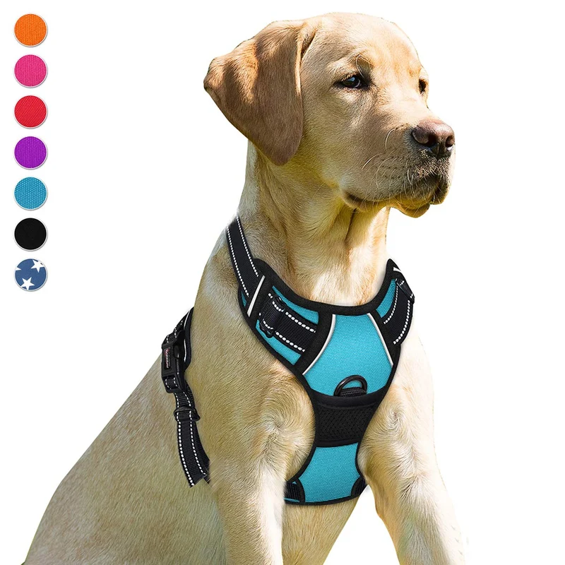 BARKBAY Harnais anti-traction à clip frontal pour chien de grande taille - bleu XL