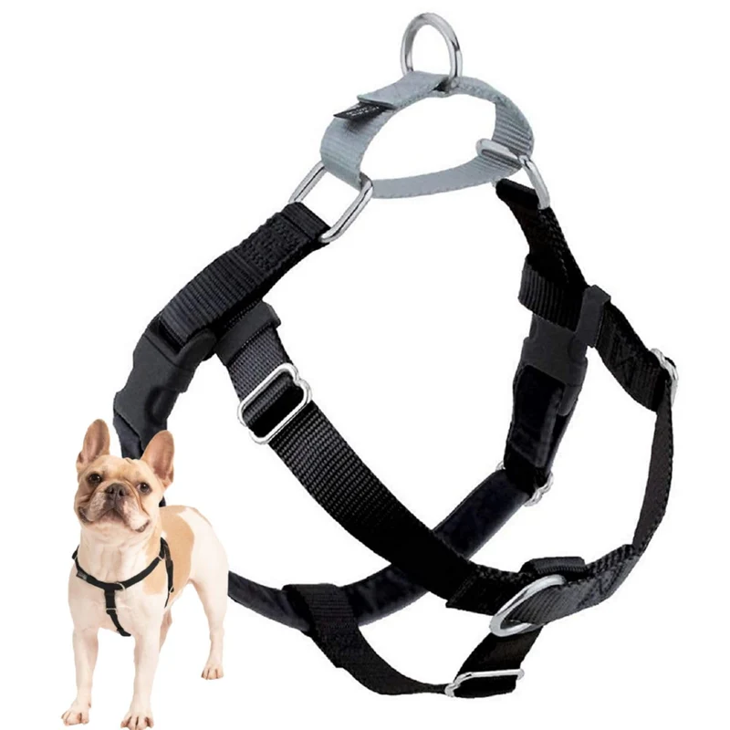 Harnais Freedom sans tir 2 Hounds Design – Réglable, Confort et Contrôle, Noir, États‑Unis