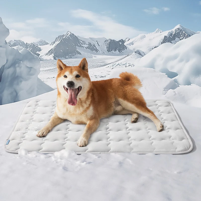 Bedsure Tapis Refroidissant pour Grands Chiens – Refroidissement rapide, Q-Max>0,5, 35x23, Gris