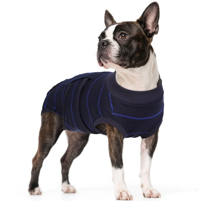 Kuoser Combinaison de Récupération pour Chien – Confort Respirant, Ajustement Facile, Bleu Rayures