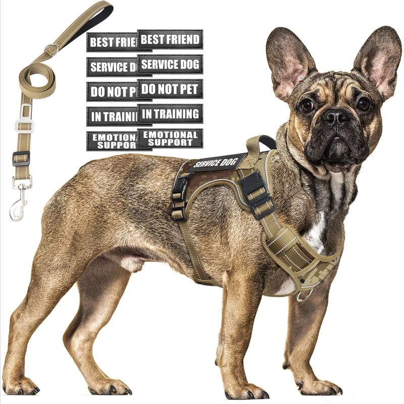 MOOGROU Harnais Tactique Chien Moyen – Laisse, Patchs et Ceinture