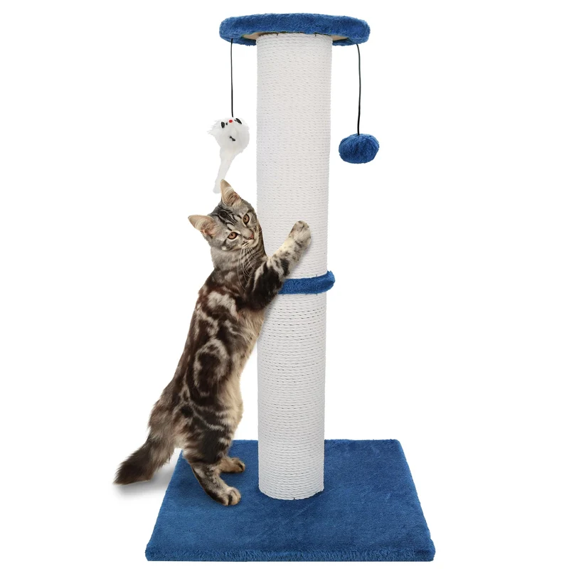 Ahomdoo Poste à Griffes Chat 34 Pouces – Ultra Robuste Bleu Marine