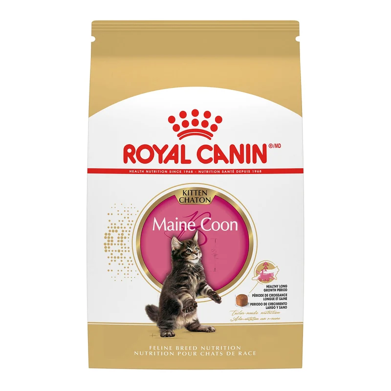 ROYAL CANIN Maine Coon Kitten – Croquettes sèches pour chatons Maine Coon, 1,36 kg