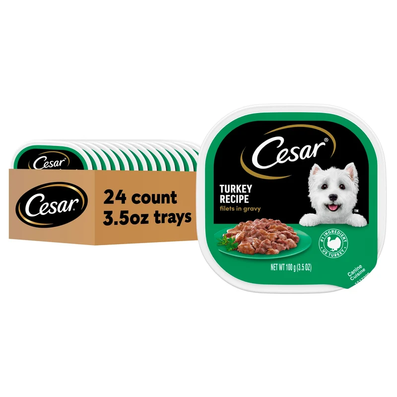 Cesar Filets en Sauce Dinde – Nourriture humide pour Chiens Adultes, Recette Dinde, Barquettes 99 g, Lot de 24