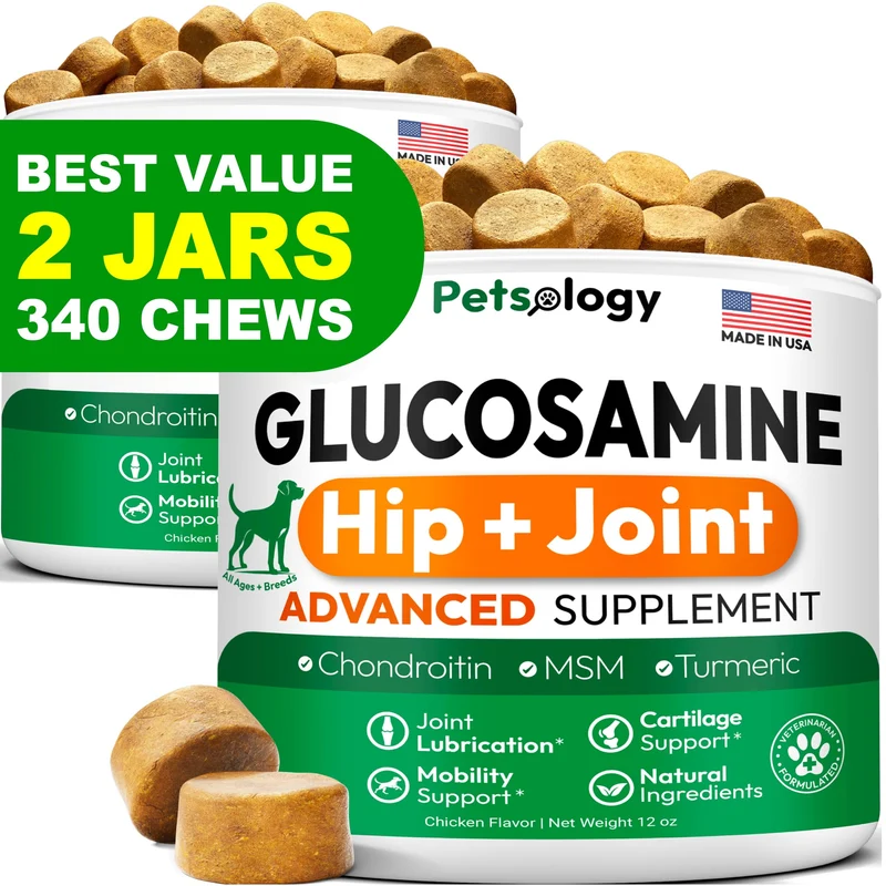 Petsology – Glucosamine pour Chiens (2 Paquets) – Mobilité et Articulations – MSM & Chondroïtine – Fabriqué aux États‑Unis