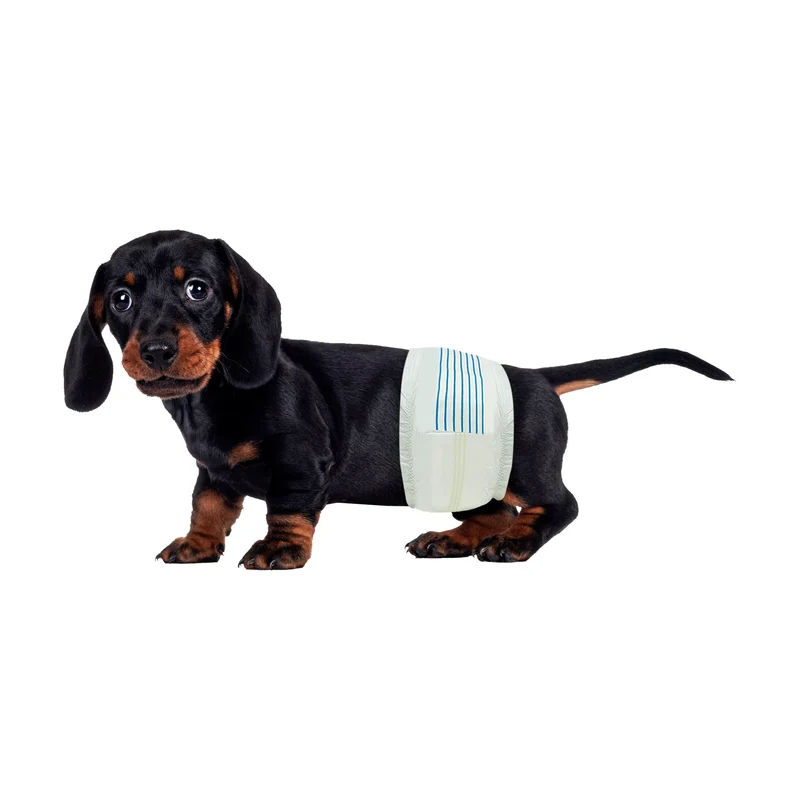 BV Couches pour chien mâle – 50 couches jetables, indicateur d’humidité et protection anti-fuites