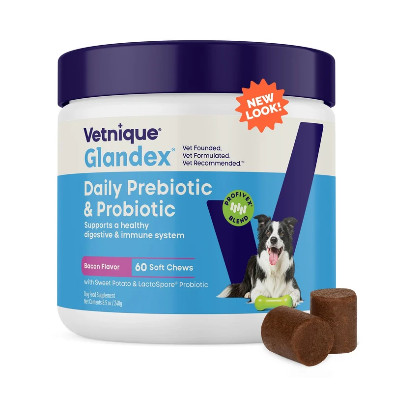 Vetnique Glandex – Probiotiques quotidiens pour chiens avec prébiotiques et enzymes, bouchées bacon (60 bouchées)