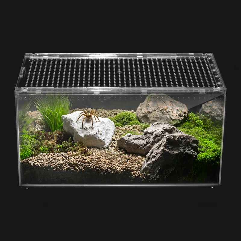 Clioran Terrarium PC 360° – Enclos Reptile et Habitat Petits Animaux