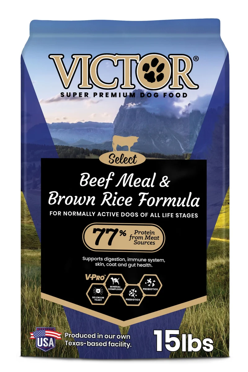 VICTOR Super Premium Chien – Boeuf en Poudre et Riz Brun Select – Sans Gluten – Immunité et Digestion – 15 lb
