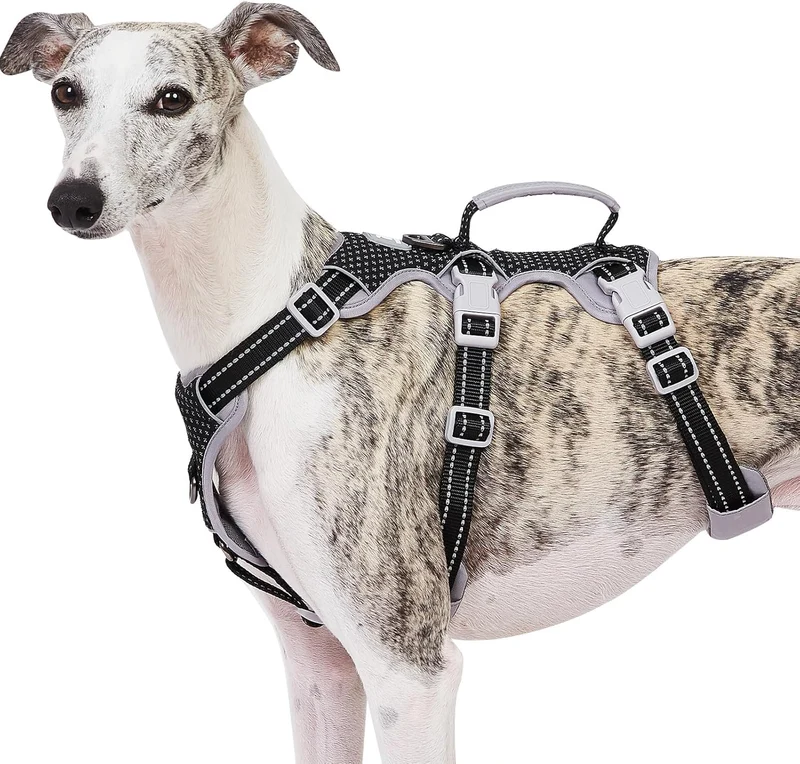 Harnais Huntboo anti-évasion pour chien — Réfléchissant, Poignée, Ajustable (Noir, S)