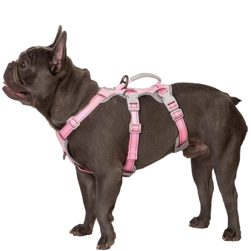 Harnais Huntboo anti-évasion pour chien rose – Réfléchissant et Poignée rembourrée