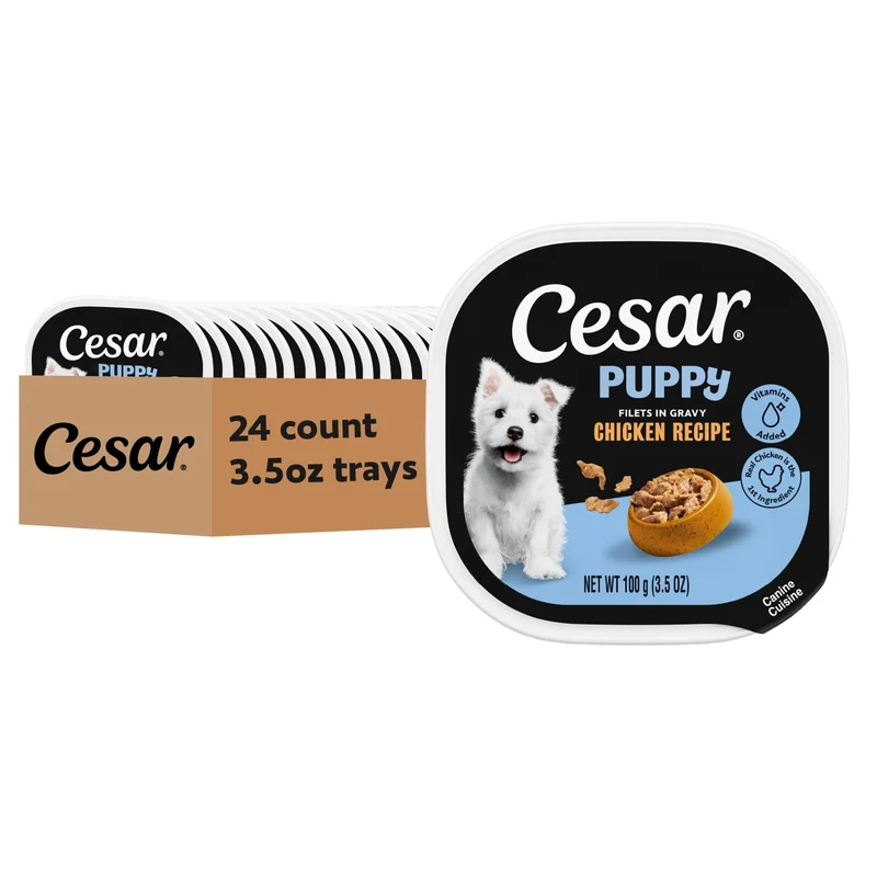 CESAR Chiots – Filets en Gravy Poulet, Barquettes Ouverture Facile, 3,5 oz, Lot de 24