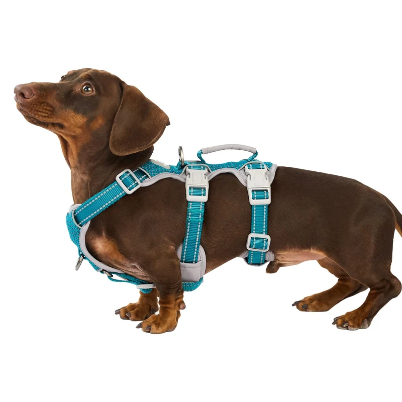 Harnais Huntboo Anti-Évasion pour Chien – Réfléchi, Rembourré et Respirant (S, Turquoise)