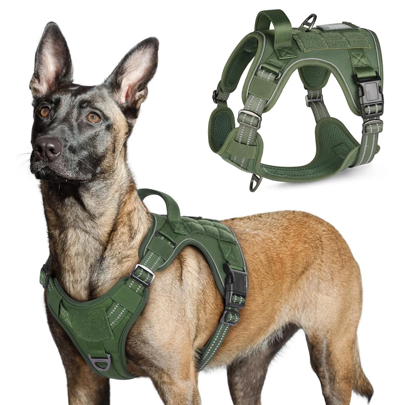 Rabbitgoo Harnais Tactique pour Chiens de Grande Taille – Anti-Traction, Poignée et MOLLE | Vert, Taille L
