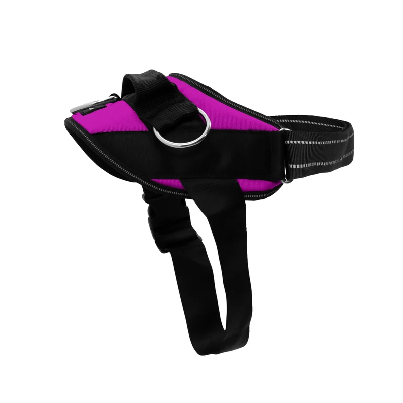 ShawnCo Harnais Essential pour Chien – Anti-traction, 3 Points d’Attache, Réfléchissant et Réglable (Orchidée, Taille S)