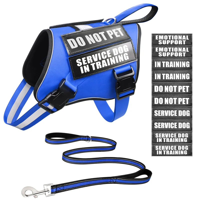 MOOGROU Harnais et Laisse pour Chien d’Assistance – Bleu, 10 Patchs Velcro, Réfléchi, Confort Doux, Tailles S-XL