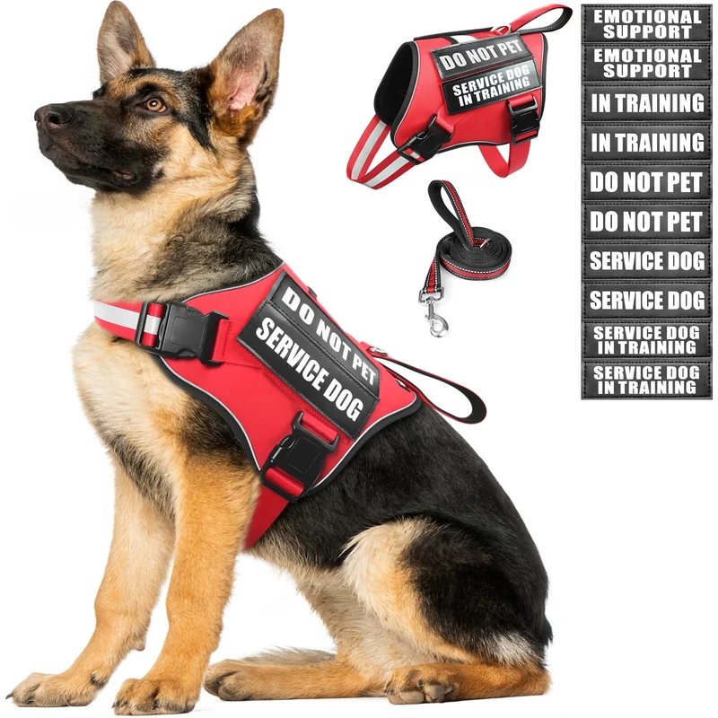 MOOGROU Harnais et Laisse Chien de Service Rouge XL | Entraînement et Usage Quotidien