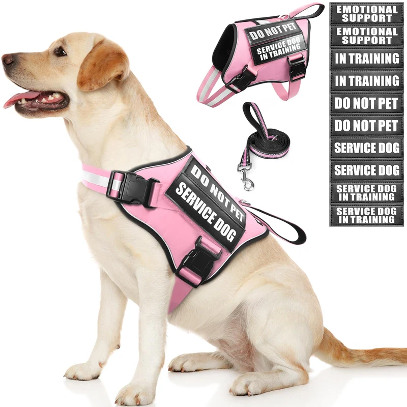 MOOGROU Harnais et Laisse pour Chien d’Assistance – Réfléchissant, Patchs + Poignée Douce (Rose, Taille L)