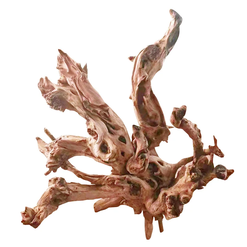 Jorewood Bois Flotté Naturel Grand – Décor Aquarium et Terrarium 13-17 pouces, Sans Produits Chimiques