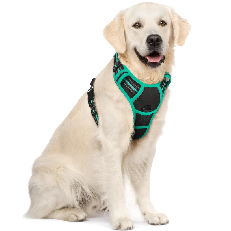 rabbitgoo Harnais anti-tirage pour chien – 2 attaches, rembourré et réfléchissant – Noir Turquoise, Taille XL