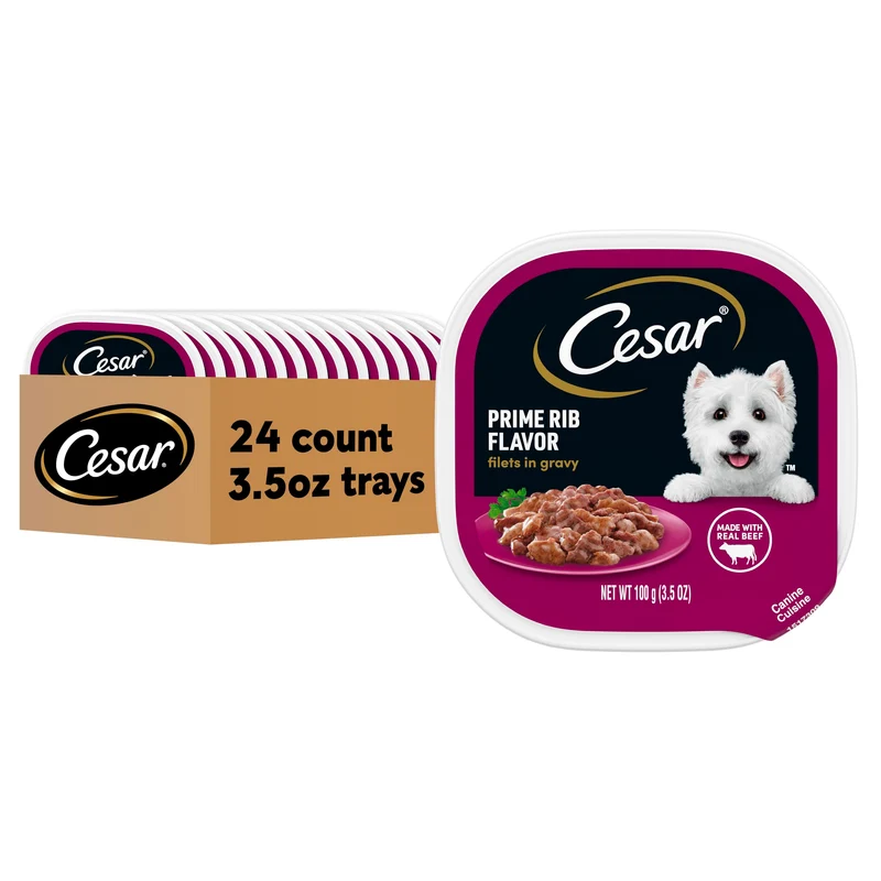 Cesar Filets en Sauce Prime Rib – Aliment Humide pour Chiens Adultes, Barquettes de 3,5 oz, 24 Unités