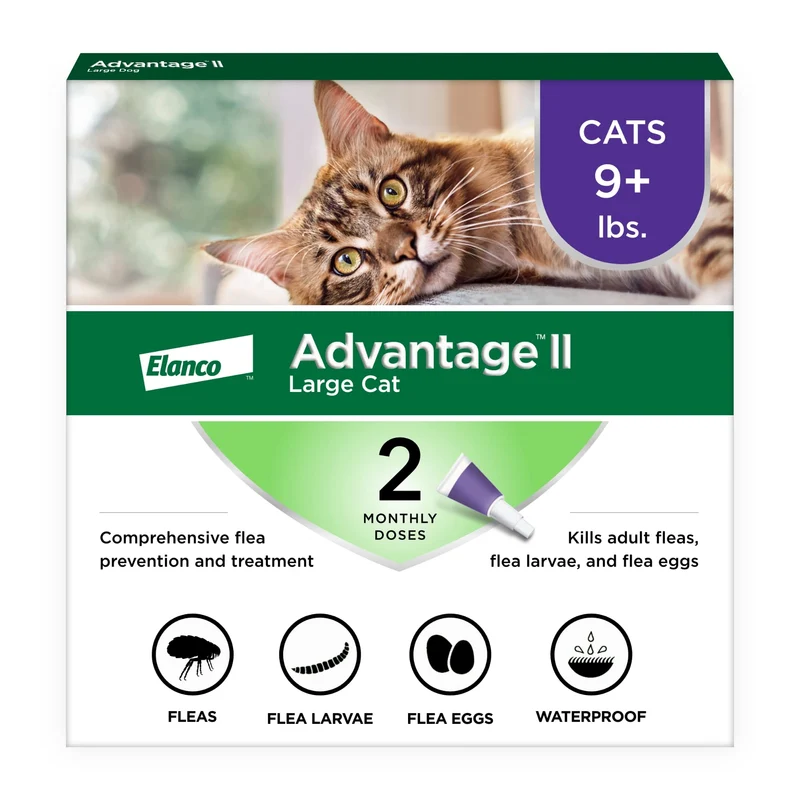 Advantage II Chat Grand – Traitement et Prévention des Puces | Plus de 9 lb | Fourniture 2 mois | Recommandé par les vétérinaires