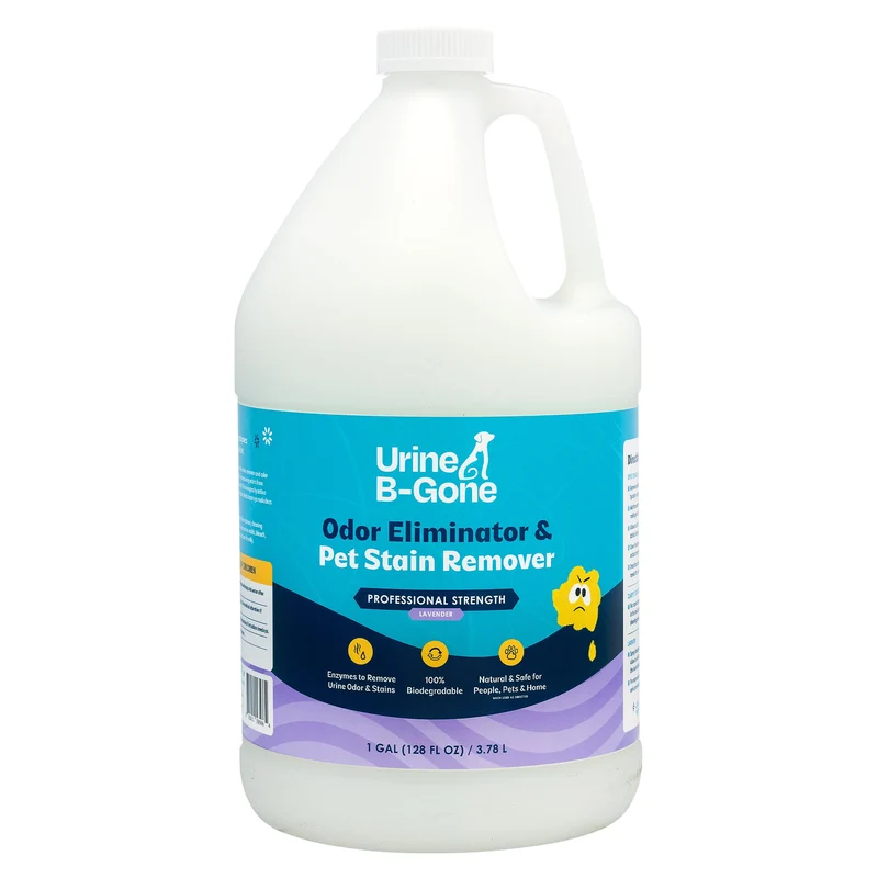 Urine B-Gone — Éliminateur d’odeurs enzymatique professionnel et détachant urine (chien, chat) | Lavande, 1 gallon | KINZUA ENVIRONMENTAL