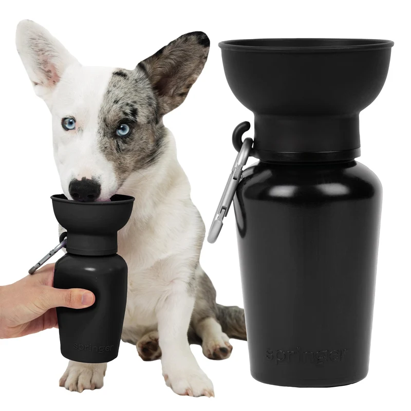 Springer Gourde pour chien pliable – 20 oz avec bol en silicone alimentaire