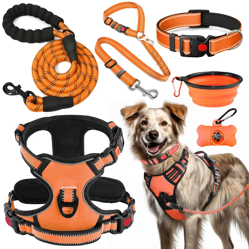 Lobeve Harnais Chien Sans Tirage – Kit Tout-en-Un Orange (L)