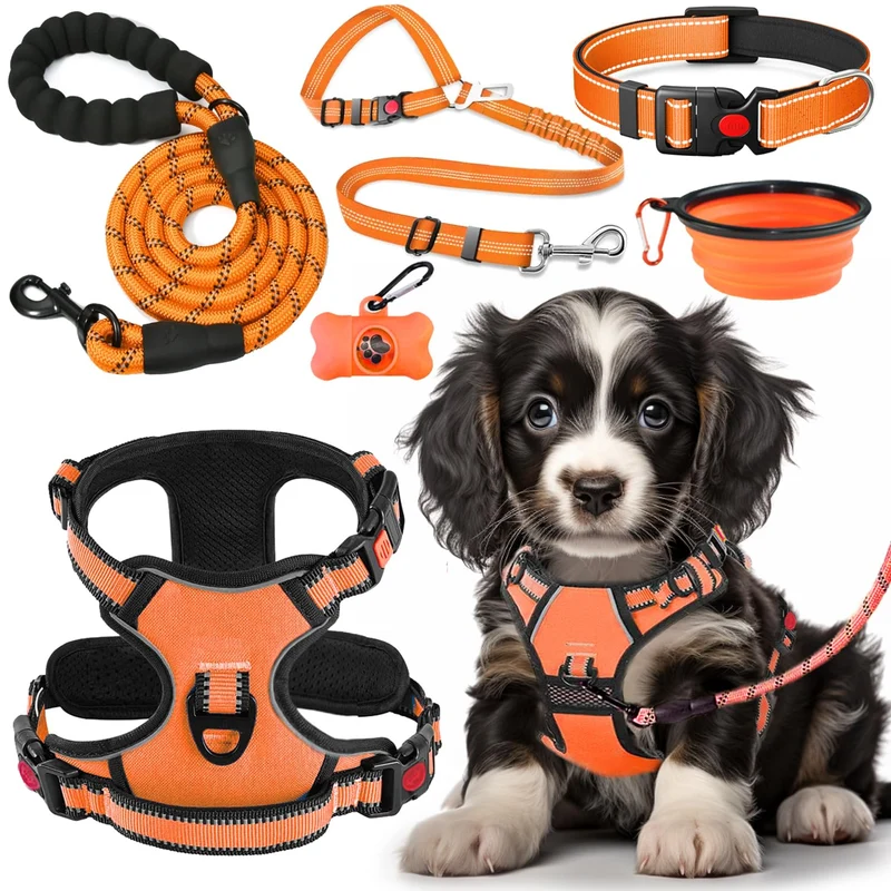LOBEVE Harnais Sans Tirage, Laisse et Collier — Kit de Voyage pour Chien (Orange, Tailles S à XL) | Ceinture Auto, Bols Pliables et Distributeur de Sacs